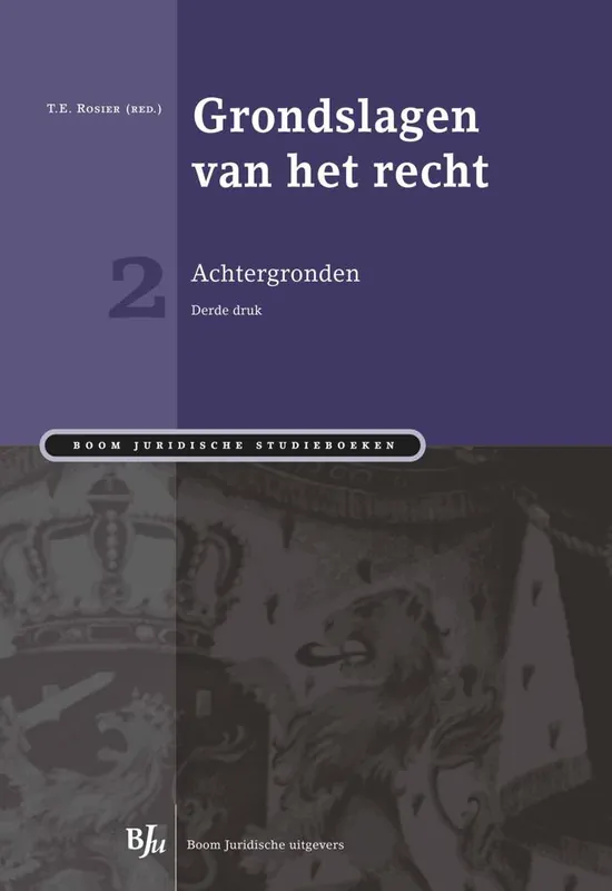 Grondslagen van het recht 2: Achtergronden / Druk 3 Koop Online