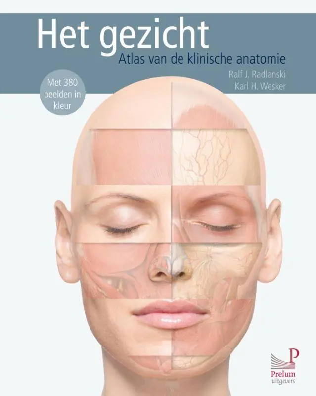 Het gezicht / Druk 1 Dagaanbieding