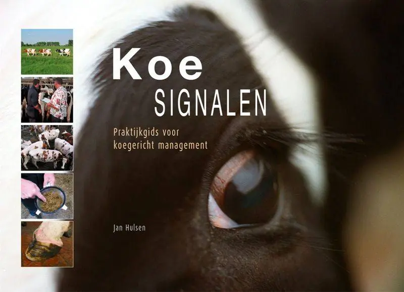 Goedkoop Koesignalen