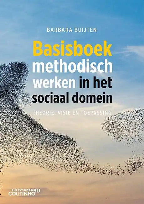 Direct Beschikbaar Basisboek methodisch werken in het sociaal domein