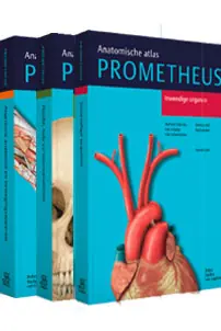 Lage Kosten Prometheus 3 delen ( SET van 3 delen) / Druk 3