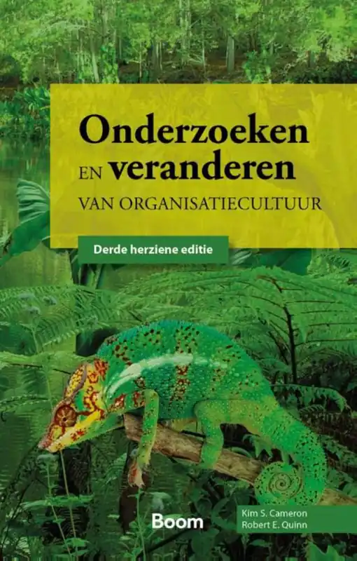 Direct Verzonden Onderzoeken en veranderen van organisatiecultuur