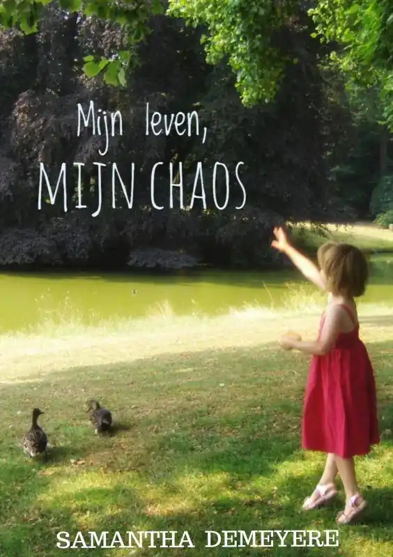 Mijn Leven. Mijn chaos. / Druk 1 Hete Deal