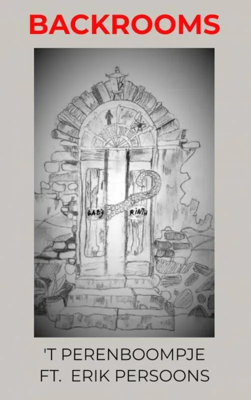 Backrooms / Druk 1 Koop Online