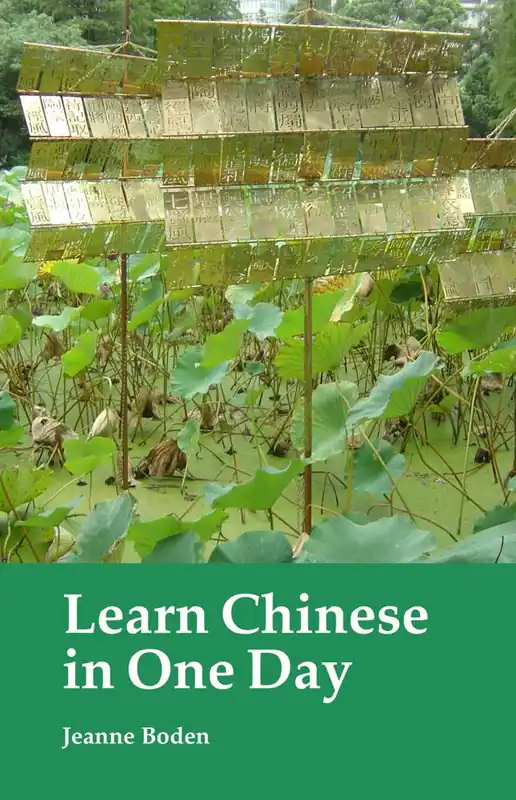 Learn Chinese in One Day / 1st Edition Laatste Versie