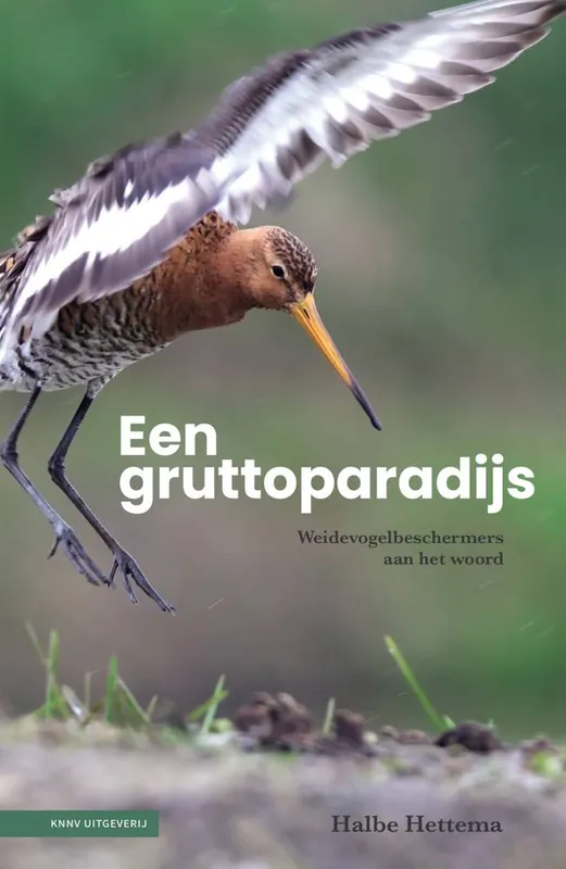Een gruttoparadijs / Druk 1 Nieuw
