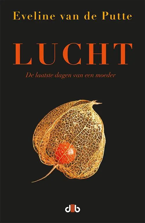 Lucht / Druk 2 Goedkoop