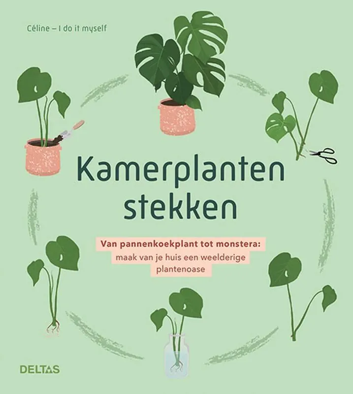 Gereduceerde Prijs Kamerplanten stekken / Druk 1