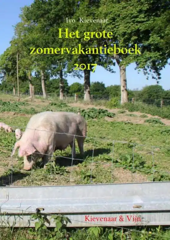 Het grote zomervakantieboek 2017 / Druk 1 Gratis Verzending
