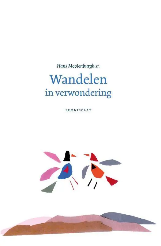 Snelle Levering Wandelen in verwondering / Druk 1