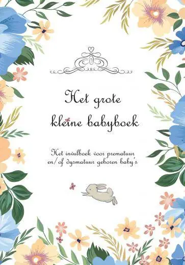 Superprijs Het grote kleine babyboek / Druk 1