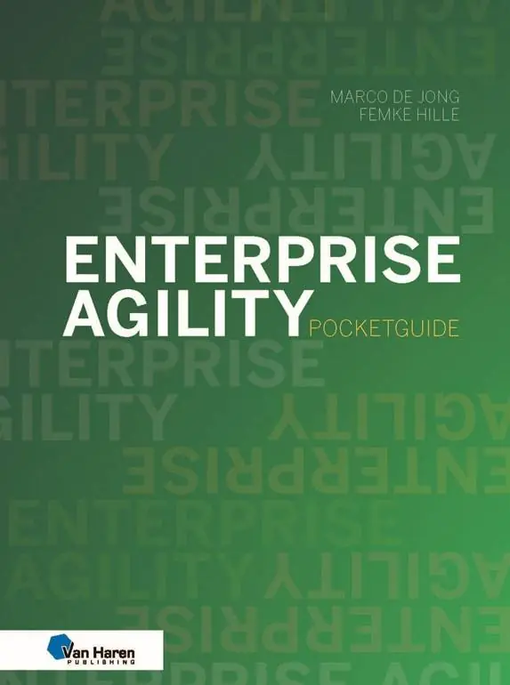 Betaalbaar Enterprise Agility / Druk 1