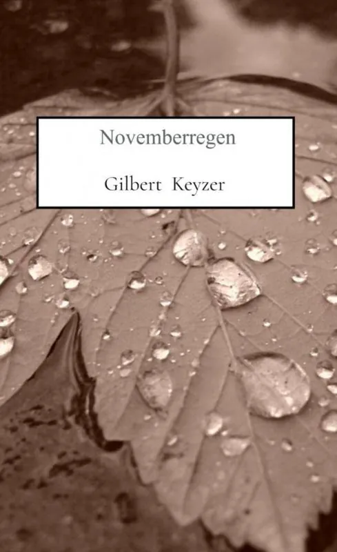 Novemberregen / Druk 1 Koopje