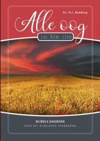 Bestel Nu Alle oog zal Hem zien / Druk 1