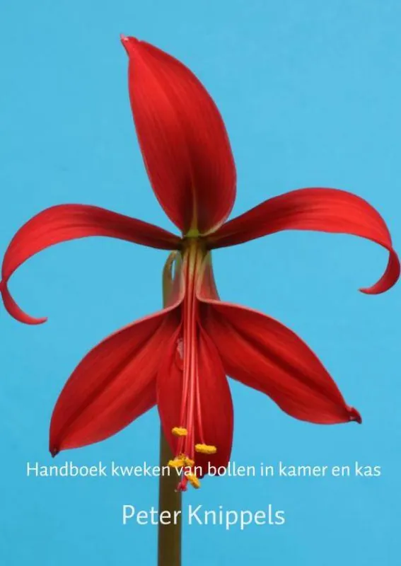 Nu Kopen Handboek kweken van bollen in kamer en kas / Druk 1