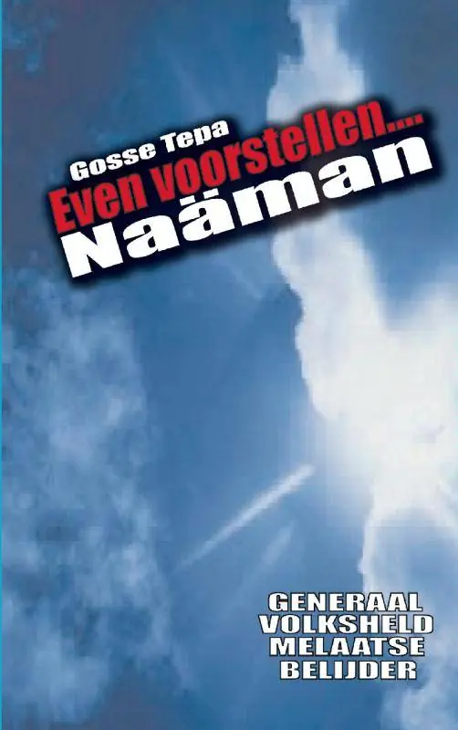 Naäman / Druk 12 Flitsaanbieding