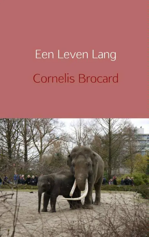 Een leven lang / Druk 1 Actieprijs