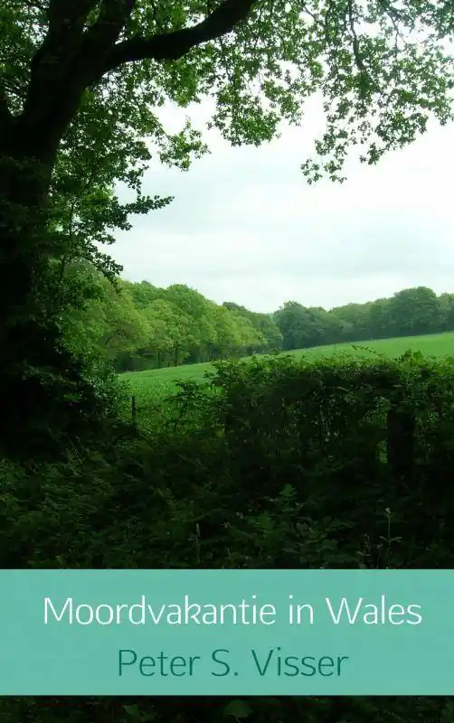 Lage Prijs Moordvakantie in Wales / Druk 3