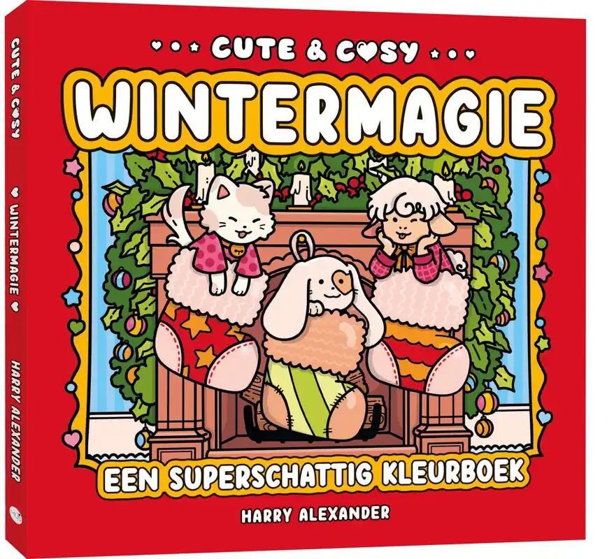 Actieprijs Wintermagie / Druk 4