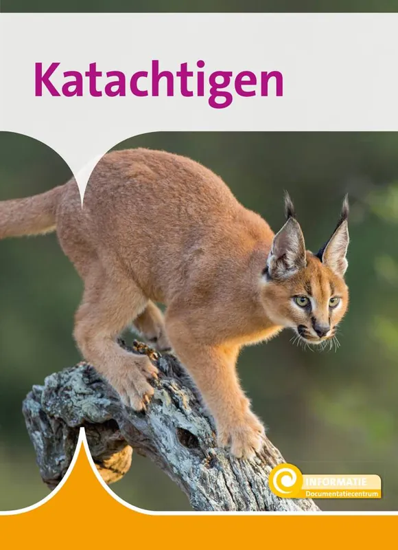 Katachtigen / Druk 1 Direct Verzonden