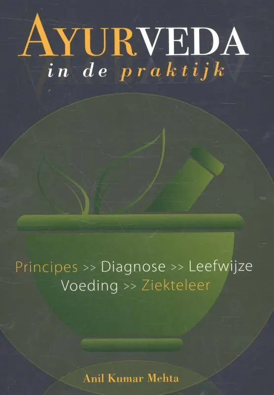 Direct Beschikbaar Ayurveda in de praktijk / Druk 1