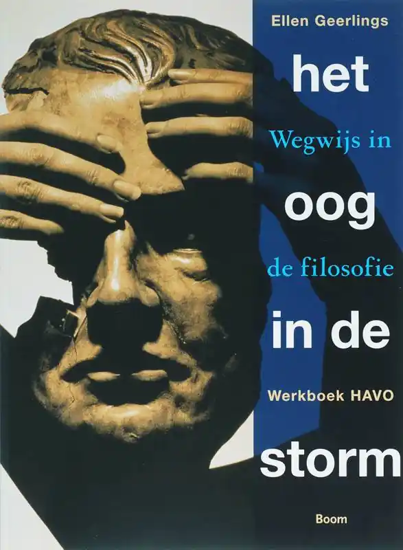 Direct Beschikbaar Het oog in de storm Havo Werkboek / Druk 1