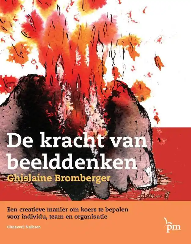 De kracht van beelddenken / Druk 3 Dagaanbieding