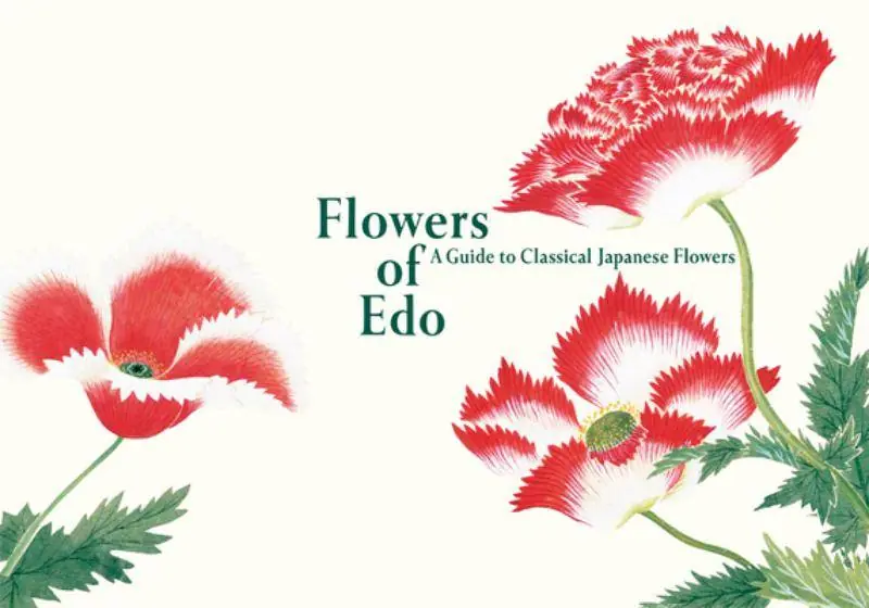 Rechtstreeks Van De Fabrikant Flowers of Edo