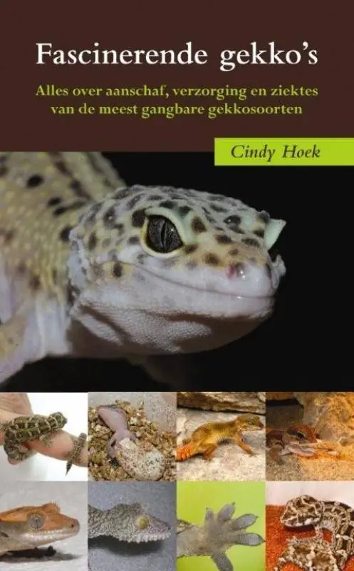 Fascinerende gekko's / Druk 1 Favoriet