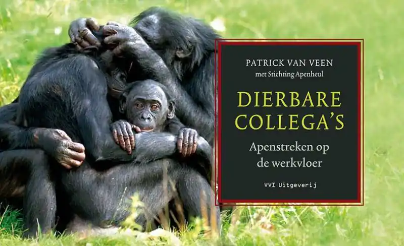Dagaanbieding Dierbare Collega's / Druk 8