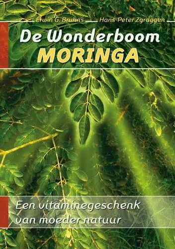 Populair De wonderboom Moringa / Druk 1