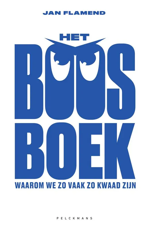 Dagaanbieding Het BOOSboek / Druk 1