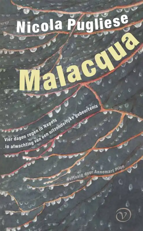 Malacqua / Druk 1 Korting