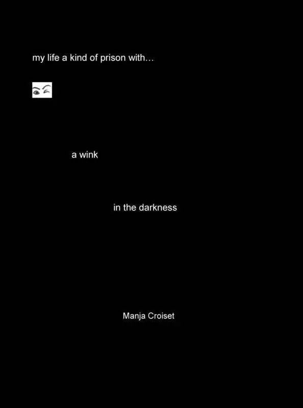 Beperkt Aanbod A wink in the darkness / 27th Edition