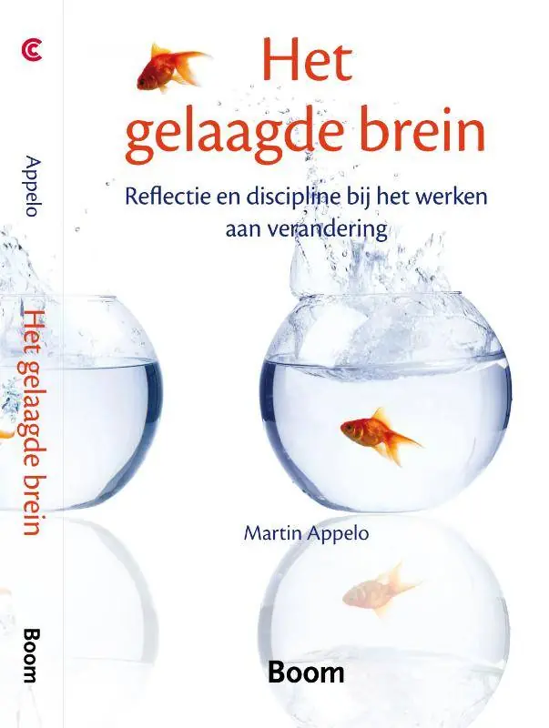 Betaalbaar Het gelaagde brein / Druk 1