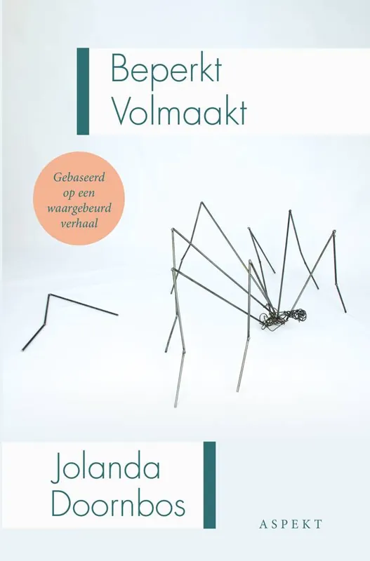 Koop Vandaag Beperkt Volmaakt / Druk 1