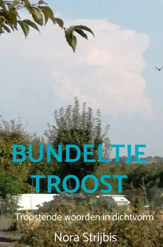 Exclusieve Aanbieding Bundeltje troost / Druk 1