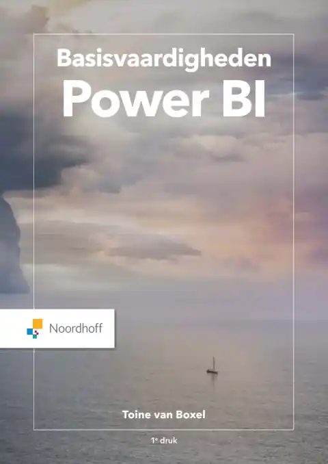 Basisvaardigheden Power BI / Druk 1 (e-book) Veilige Betaling