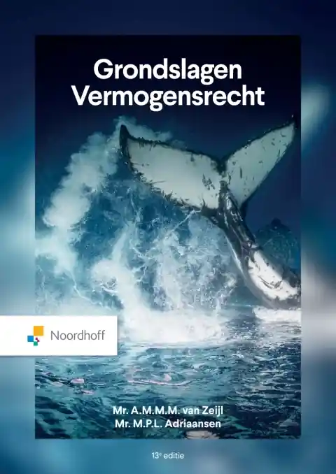 Laatste Versie Grondslagen Vermogensrecht / Druk 13 (e-book)