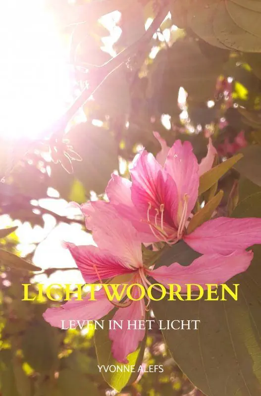 Beperkte Voorraad Lichtwoorden / Druk 1