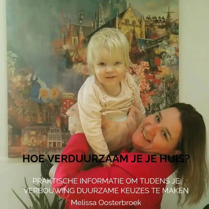 Beste Prijs Hoe verduurzaam je je huis? / Druk 1
