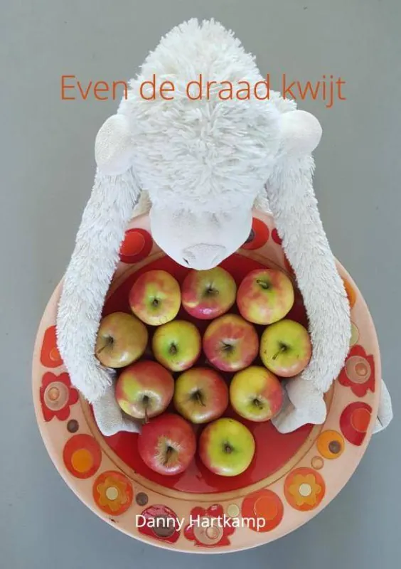 Uitverkoop Even de draad kwijt / Druk 1