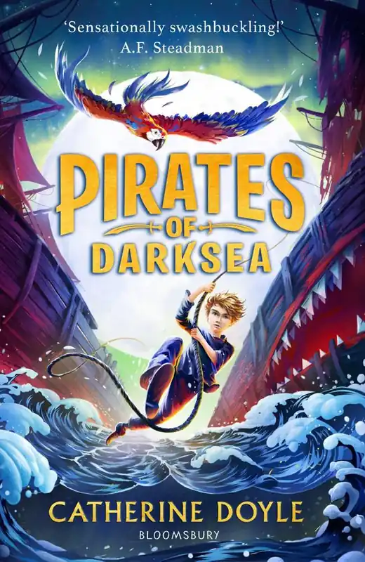 Flitsaanbieding Pirates of Darksea