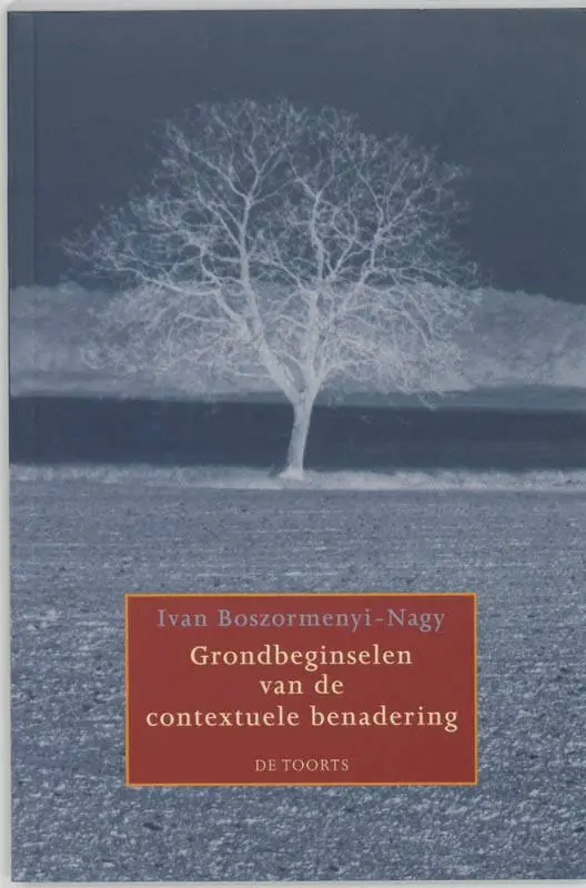 Nu Kopen Grondbeginselen van de contextuele benadering / Druk 6