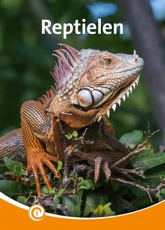 Reptielen / Druk 1 Lage Prijs