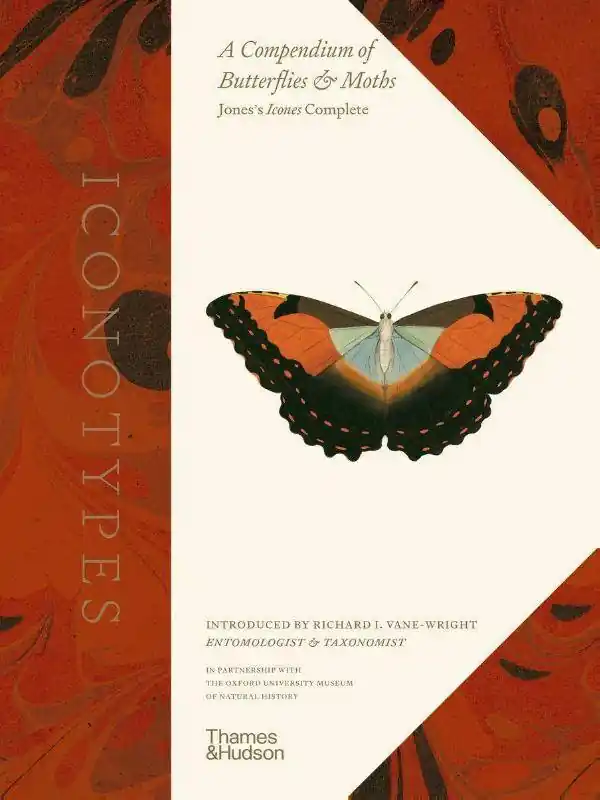 Gecertificeerd Iconotypes