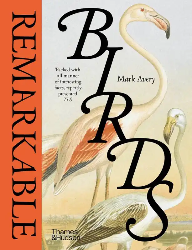 Remarkable Birds Lage Kosten