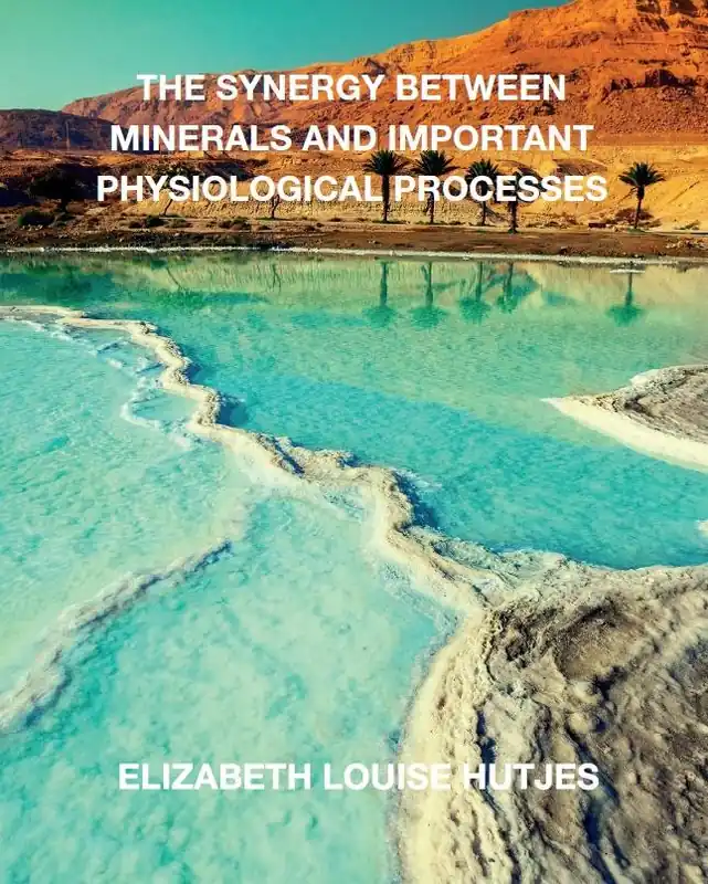The synergy between minerals and important physiological processes / 1st Edition Direct Beschikbaar