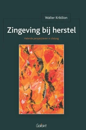Zingeving bij herstel. / Druk 1 Flitsaanbieding