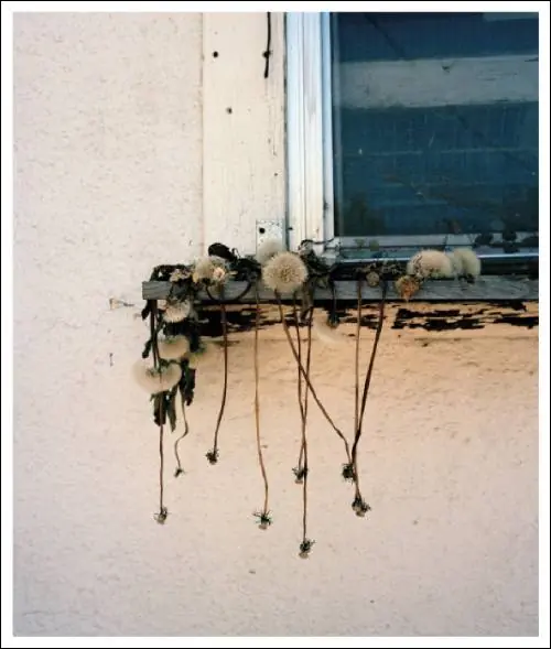 Meest Verkocht Stick Holding Branch / 1st Edition